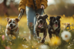 Leinenpflicht für Hunde in freier Landschaft beginnt am 1. April
