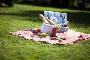 Einmal, zweimal, Tradition: Picknick im Park @ Bürgerpark in Hoya